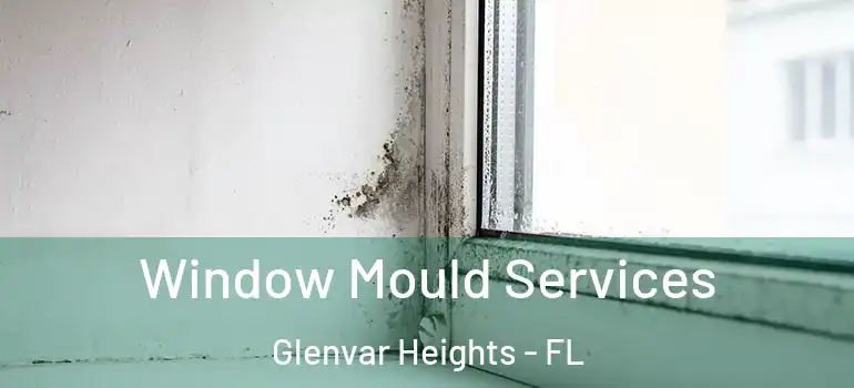  Window Mould Services Glenvar Heights - FL